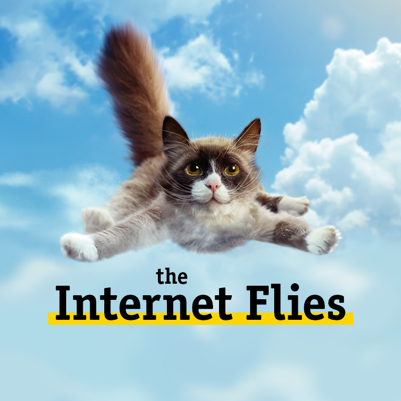 The Internet Flies