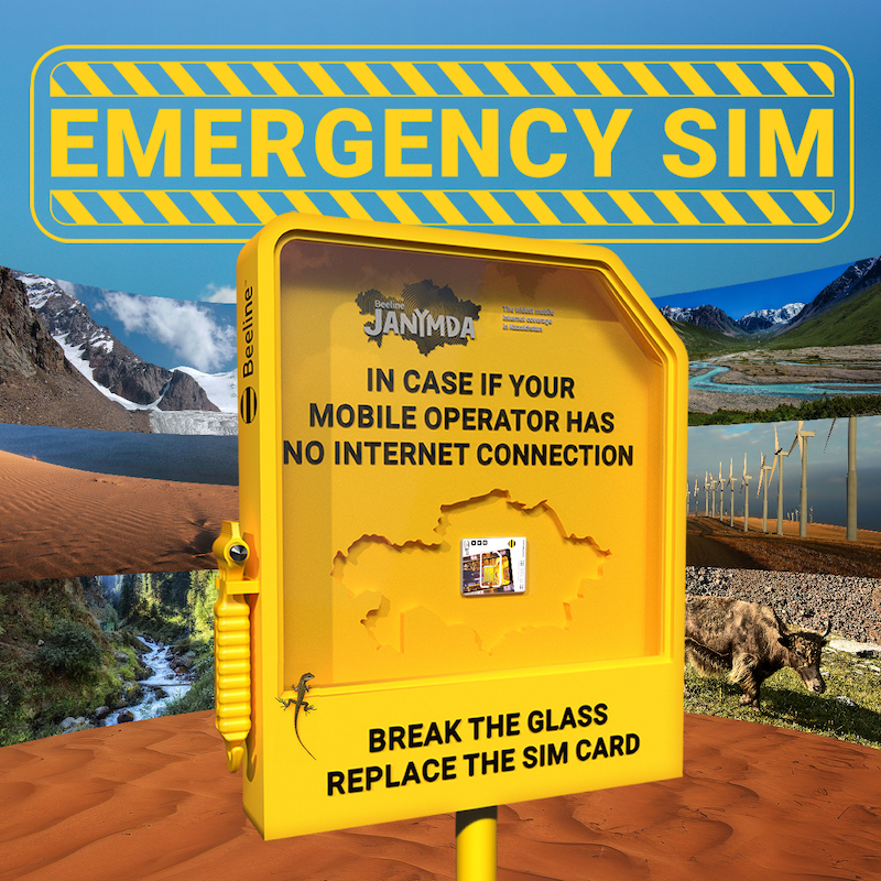 Emergency SIM