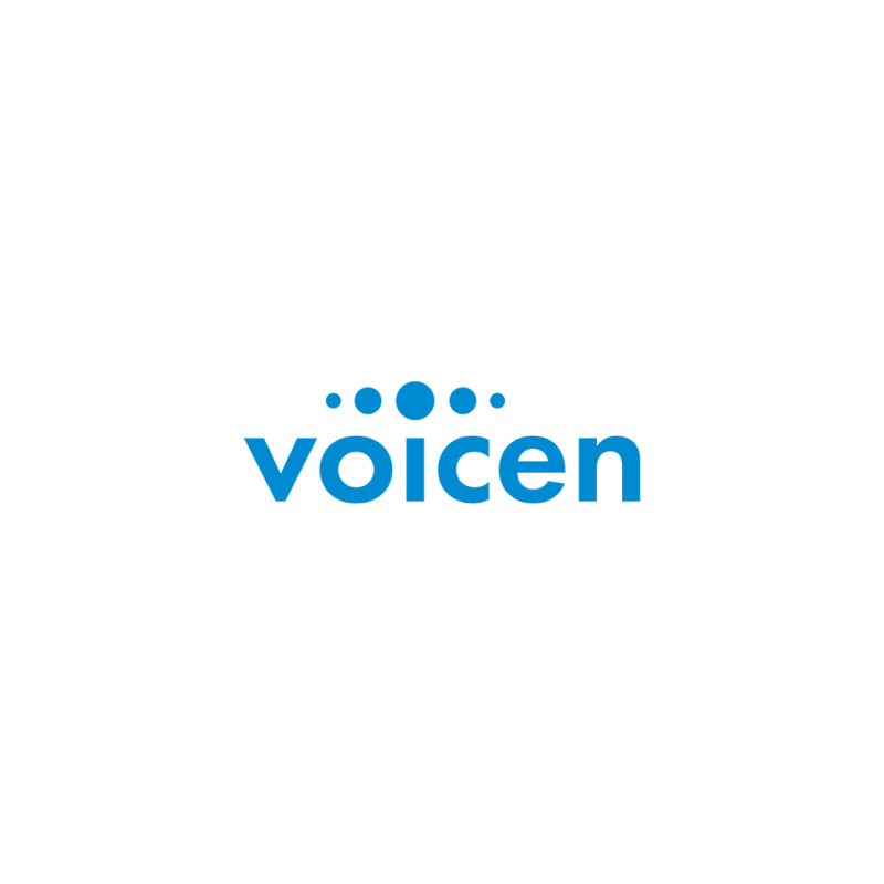 Branding of Voicen