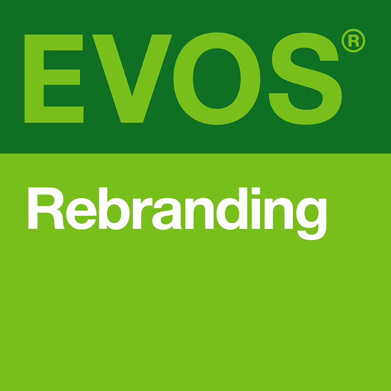 Evos Rebranding
